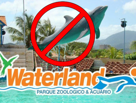 DELFINARIO POR WATERLAND MUNDO MARINO S.A. PROHIBIDO EN ECUADOR