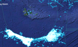 LETTER TO THE GOVERNMENT OF ECUADOR: FOREIGN FLEET CASE