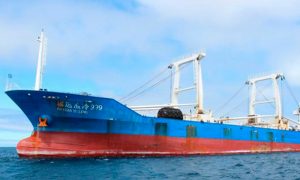 Nuevo estudio demuestra que los tiburones encontrados en el Fu Yuang Yu Leng tienen niveles más altos de mercurio que los aceptados por la OMS
