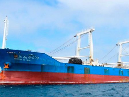 Nuevo estudio demuestra que los tiburones encontrados en el Fu Yuang Yu Leng tienen niveles más altos de mercurio que los aceptados por la OMS